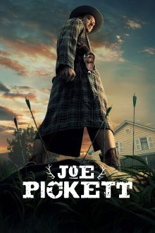 Joe Pickett