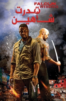 Falcon Rising